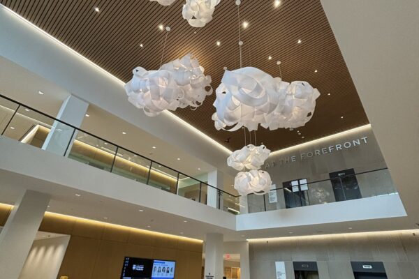 1C2B92AE-C9F6-491A-A1A0-124D1C73BEAD 1C2B92AE-C9F6-491A-A1A0-124D1C73BEAD