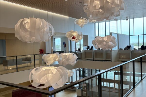 D8B9F05B-8294-4D45-8FB7-EB15EF33EEB7